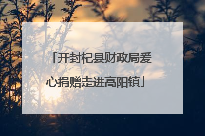 开封杞县财政局爱心捐赠走进高阳镇