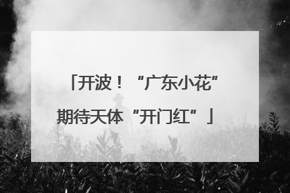 开波！“广东小花”期待天体“开门红”