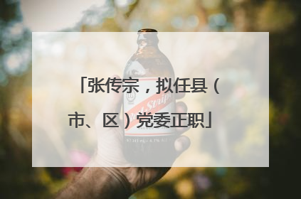 张传宗，拟任县（市、区）党委正职