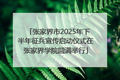 张家界市2025年下半年征兵宣传启动仪式在张家界学院圆满举行