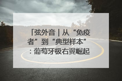 弦外音｜从“免疫者”到“典型样本”：葡萄牙极右翼崛起背后的欧洲困局