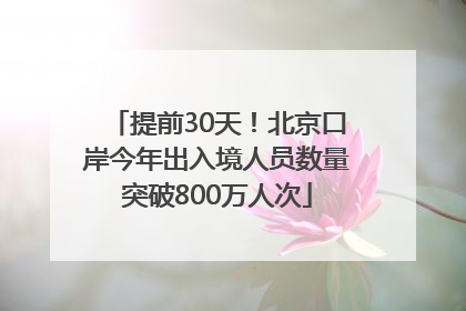提前30天！北京口岸今年出入境人员数量突破800万人次