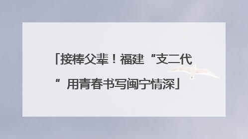 接棒父辈！福建“支二代”用青春书写闽宁情深