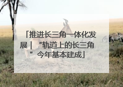 推进长三角一体化发展｜“轨道上的长三角”今年基本建成