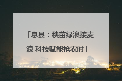 息县：秧苗绿浪接麦浪 科技赋能抢农时