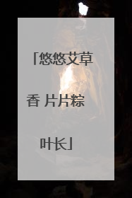 悠悠艾草香 片片粽叶长
