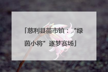 慈利县苗市镇：“绿茵小将”逐梦赛场