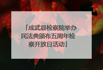成武县检察院举办民法典颁布五周年检察开放日活动