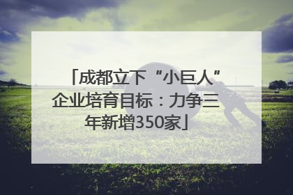 成都立下“小巨人”企业培育目标：力争三年新增350家