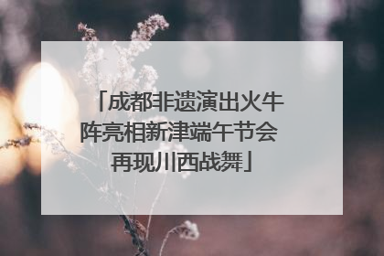 成都非遗演出火牛阵亮相新津端午节会 再现川西战舞