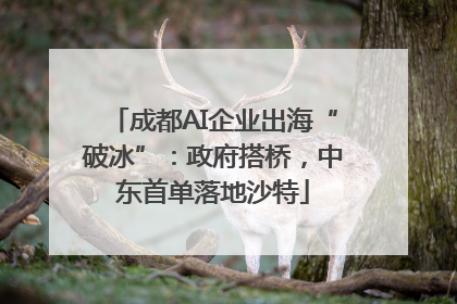 成都AI企业出海“破冰”：政府搭桥，中东首单落地沙特