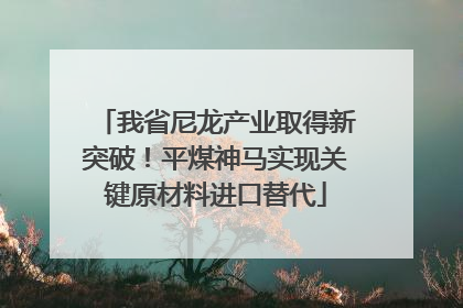 我省尼龙产业取得新突破！平煤神马实现关键原材料进口替代