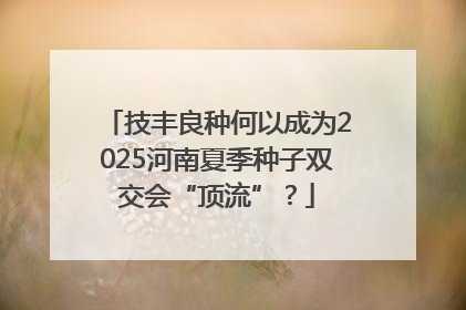 技丰良种何以成为2025河南夏季种子双交会“顶流”？