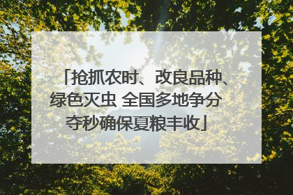 抢抓农时、改良品种、绿色灭虫 全国多地争分夺秒确保夏粮丰收