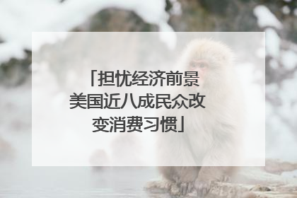 担忧经济前景 美国近八成民众改变消费习惯