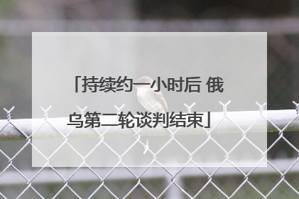 持续约一小时后 俄乌第二轮谈判结束