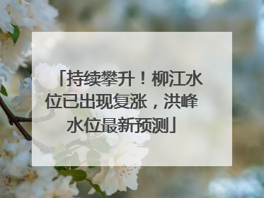 持续攀升！柳江水位已出现复涨，洪峰水位最新预测