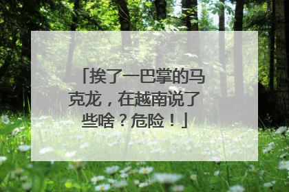 挨了一巴掌的马克龙，在越南说了些啥？危险！