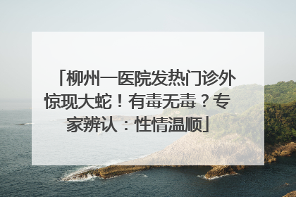 柳州一医院发热门诊外惊现大蛇！有毒无毒？专家辨认：性情温顺