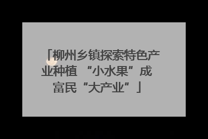 柳州乡镇探索特色产业种植 “小水果”成富民“大产业”