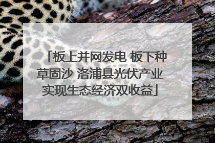 板上并网发电 板下种草固沙 洛浦县光伏产业实现生态经济双收益