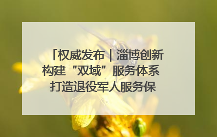权威发布｜淄博创新构建“双域”服务体系 打造退役军人服务保障“淄博样板”