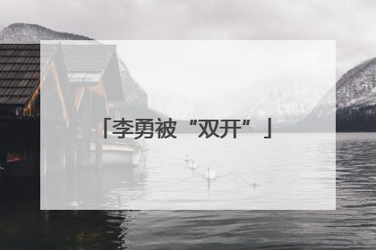 李勇被“双开”