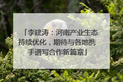 李建涛：河南产业生态持续优化，期待与各地携手谱写合作新篇章