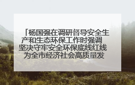 杨国强在调研督导安全生产和生态环保工作时强调 坚决守牢安全环保底线红线 为全市经济社会高质量发展提供坚强保障