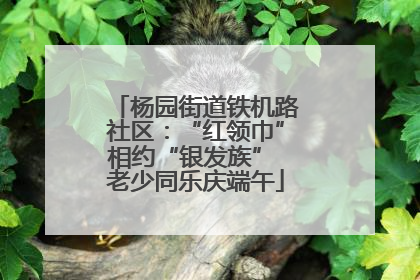 杨园街道铁机路社区：“红领巾”相约“银发族” 老少同乐庆端午
