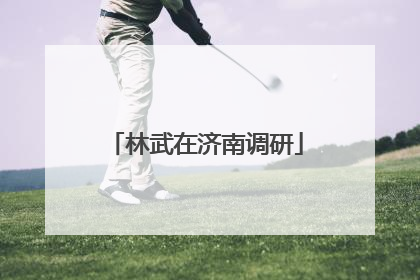 林武在济南调研