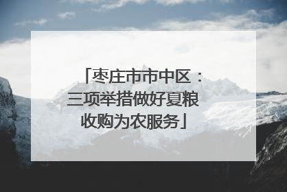 枣庄市市中区：三项举措做好夏粮收购为农服务