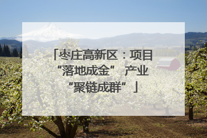 枣庄高新区：项目“落地成金” 产业“聚链成群”