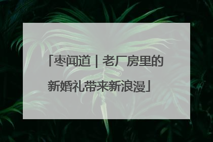 枣闻道｜老厂房里的新婚礼带来新浪漫