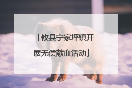 攸县宁家坪镇开展无偿献血活动