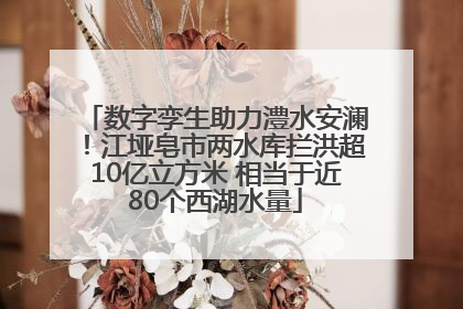 数字孪生助力澧水安澜！江垭皂市两水库拦洪超10亿立方米 相当于近80个西湖水量