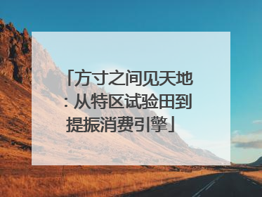 方寸之间见天地：从特区试验田到提振消费引擎