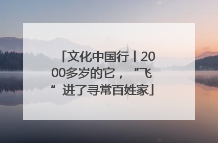 文化中国行丨2000多岁的它，“飞”进了寻常百姓家