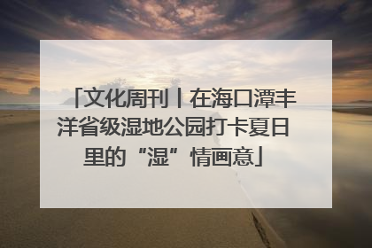 文化周刊丨在海口潭丰洋省级湿地公园打卡夏日里的“湿”情画意