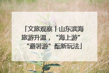 文旅观察丨山东滨海旅游升温，“海上游”“避暑游”酝新玩法