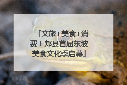 文旅+美食+消费！郏县首届东坡美食文化季启幕