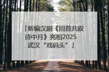 新编汉剧《回首共叙诗中月》亮相2025武汉“戏码头”