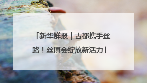 新华鲜报｜古都携手丝路！丝博会绽放新活力