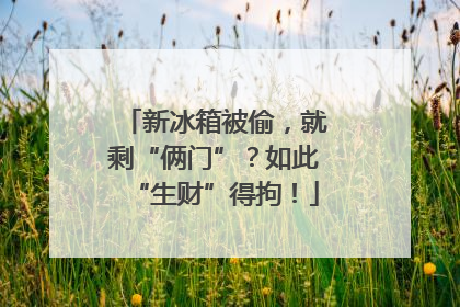新冰箱被偷，就剩“俩门”？如此“生财”得拘！