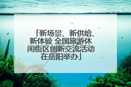 新场景、新供给、新体验 全国旅游休闲街区创新交流活动在岳阳举办