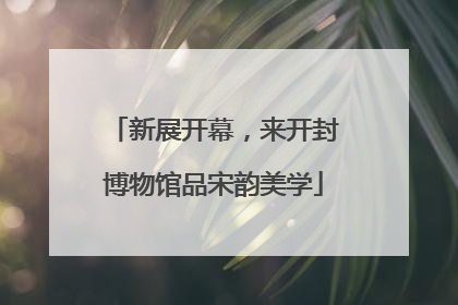 新展开幕，来开封博物馆品宋韵美学
