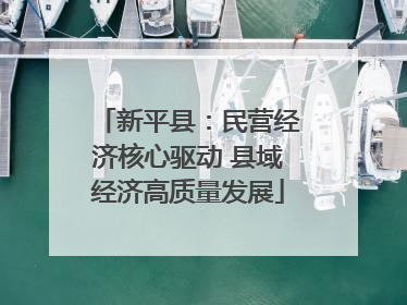 新平县：民营经济核心驱动 县域经济高质量发展
