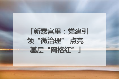 新泰宫里：党建引领“微治理” 点亮基层“网格红”