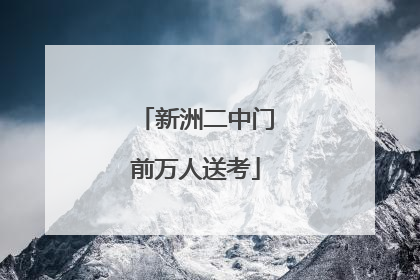 新洲二中门前万人送考