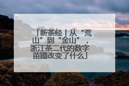 新茶经丨从“荒山”到“金山”，浙江茶二代的数字苗圃改变了什么